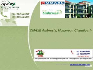 s
+91-9216925999
+91-9216926999

OMAXE Ambrosia, Mullanpur, Chandigarh

Visit our website:- www.apexrealtyindia.com

 