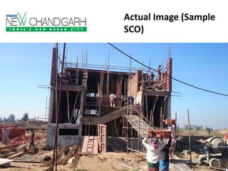 Actual Image (Sample
SCO)

 