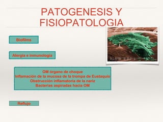 PATOGENESIS Y
FISIOPATOLOGIA
Biofilms
Alergia e inmunología
OM órgano de choque
Inflamación de la mucosa de la trompa de Eustaquio
Obstrucción inflamatoria de la nariz
Bacterias aspiradas hacia OM
Reflujo
 