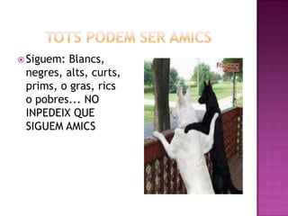  Siguem: Blancs,
 negres, alts, curts,
 prims, o gras, rics
 o pobres... NO
 INPEDEIX QUE
 SIGUEM AMICS
 