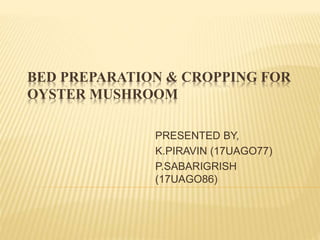 BED PREPARATION & CROPPING FOR
OYSTER MUSHROOM
PRESENTED BY,
K.PIRAVIN (17UAGO77)
P.SABARIGRISH
(17UAGO86)
 