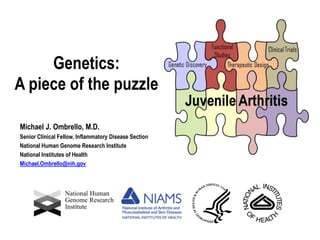 Genetics:  A piece of the puzzle Michael J. Ombrello, M.D. Senior Clinical Fellow, Inflammatory Disease Section National Human Genome Research Institute National Institutes of Health Michael.Ombrello@nih.gov 