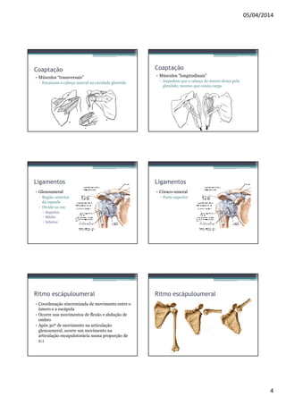 05/04/2014 
4 
Coaptação 
• Músculos “transversais” 
▫ Encaixam a cabeça umeral na cavidade glenóide 
Coaptação 
• Músculos “longitudinais” 
▫ Impedem que a cabeça do úmero desça pela 
glenóide, mesmo que exista carga 
Ligamentos 
• Glenoumeral 
▫ Região anterior 
da capsula 
▫ Divide-se em: 
 Superior 
 Médio 
 Inferior 
Ligamentos 
• Córaco-umeral 
▫ Parte superior 
Ritmo escápuloumeral 
• Coordenação sincronizada de movimento entre o 
úmero e a escápula 
• Ocorre nos movimentos de flexão e abdução de 
ombro 
• Após 30º de movimento na articulação 
glenoumeral, ocorre um movimento na 
articulação escapulotorácia numa proporção de 
2:1 
Ritmo escápuloumeral 
 