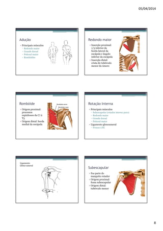 05/04/2014 
8 
Adução 
• Principais músculos 
▫ Redondo maior 
▫ Grande dorsal 
▫ Peitoral maior 
▫ Rombóides 
Redondo maior 
• Inserção proximal: 
1/3 inferior da 
borda lateral da 
escápula e ângulo 
inferior da escápula 
• Inserção distal: 
crista do tubérculo 
menor do úmero 
Rombóide 
• Origem proximal: 
processos 
espinhosos da C7 à 
T5 
• Origem distal: borda 
medial da escápula 
Rotação Interna 
• Principais músculos 
▫ Subescapular (rotador interno puro) 
▫ Redondo maior 
▫ Grande dorsal 
▫ Peitoral maior 
• Ligamento glenoumeral 
▫ Frouxo à RI 
Ligamento 
Gleno-umeral 
Subescapular 
• Faz parte do 
manguito rotador 
• Origem proximal: 
fossa subescapular 
• Origem distal: 
tubérculo menor 
 