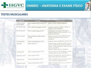 OMBRO - ANATOMIA E EXAME FÍSICO
TESTES MUSCULARES
 