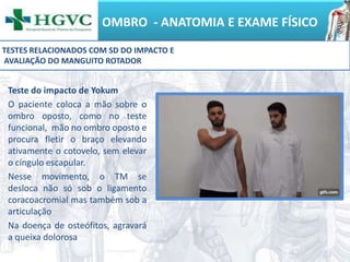 OMBRO - ANATOMIA E EXAME FÍSICO
Teste do impacto de Yokum
O paciente coloca a mão sobre o
ombro oposto, como no teste
funcional, mão no ombro oposto e
procura fletir o braço elevando
ativamente o cotovelo, sem elevar
o cíngulo escapular.
Nesse movimento, o TM se
desloca não só sob o ligamento
coracoacromial mas também sob a
articulação
Na doença de osteófitos, agravará
a queixa dolorosa
TESTES RELACIONADOS COM SD DO IMPACTO E
AVALIAÇÃO DO MANGUITO ROTADOR
 