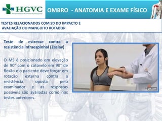 OMBRO - ANATOMIA E EXAME FÍSICO
Teste de estresse contra a
resistência infraespinhal (Zaslav)
O MS é posicionado em elevação
de 90° com o cotovelo em 90° de
flexão e o paciente deve forçar em
rotação externa contra a
resistência oposta pelo
examinador e as respostas
possíveis são avaliadas como nos
testes anteriores.
TESTES RELACIONADOS COM SD DO IMPACTO E
AVALIAÇÃO DO MANGUITO ROTADOR
 