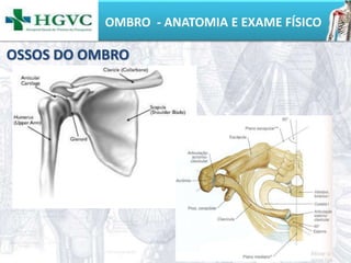OMBRO - ANATOMIA E EXAME FÍSICO
OSSOS DO OMBRO
 