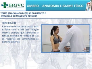 OMBRO - ANATOMIA E EXAME FÍSICO
Teste de Jobe
É semelhante ao teste do SE, mas
é feito com o MS em rotação
interna, posição que sensibiliza a
tensão exercida no tendão do SE;
as respostas são semelhantes às
do teste anterior.
TESTES RELACIONADOS COM SD DO IMPACTO E
AVALIAÇÃO DO MANGUITO ROTADOR
 