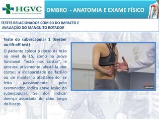 OMBRO - ANATOMIA E EXAME FÍSICO
Teste do subescapular 1 (Gerber
ou lift off test)
O paciente coloca o dorso da mão
ao nível de L5, como na prova
funcional “mão nas costas”, e
procura ativamente afastá-la das
costas; a incapacidade de fazê-lo
ou de manter o afastamento, se
feito passivamente pelo
examinador, indica grave lesão do
subescapular. Se dor indicar
doença associada do cabo longo
do bíceps.
TESTES RELACIONADOS COM SD DO IMPACTO E
AVALIAÇÃO DO MANGUITO ROTADOR
 