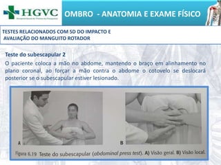 OMBRO - ANATOMIA E EXAME FÍSICO
Teste do subescapular 2
O paciente coloca a mão no abdome, mantendo o braço em alinhamento no
plano coronal, ao forçar a mão contra o abdome o cotovelo se deslocará
posterior se o subescapular estiver lesionado.
TESTES RELACIONADOS COM SD DO IMPACTO E
AVALIAÇÃO DO MANGUITO ROTADOR
 