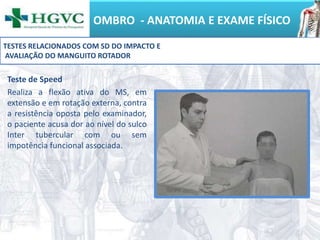 OMBRO - ANATOMIA E EXAME FÍSICO
Teste de Speed
Realiza a flexão ativa do MS, em
extensão e em rotação externa, contra
a resistência oposta pelo examinador,
o paciente acusa dor ao nível do sulco
Inter tubercular com ou sem
impotência funcional associada.
TESTES RELACIONADOS COM SD DO IMPACTO E
AVALIAÇÃO DO MANGUITO ROTADOR
 