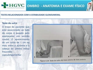 OMBRO - ANATOMIA E EXAME FÍSICO
Teste do sulco
O braço do paciente que
está posicionado ao lado
do corpo é puxado pelo
examinador em sentido
caudal. O aparecimento
de um sulco de 1 cm ou
mais entre o acrômio e a
cabeça do úmero indica
frouxidão
capsuloligamentar
TESTES RELACIONADOS COM A ESTABILIDADE GLENOUMERAL
 
