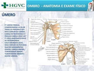 OMBRO - ANATOMIA E EXAME FÍSICO
ÚMERO
• FT UMERO PROXIAL
COMPREENDEM 4 A 5% DE
TODAS AS FRATURA E 45%
MAIS COMUM DO ÚMERO.
• CABEÇA RETROVERTIDA 35 °
• ÂNGULO CABEÇA COLO 130 °
• FT COLO ANATOMICO RISCO
DE OSTEONECROSE
• COLO CIRURGICO LOCAL
MAIS COMUM DE FRATURAS
• QUATRO SEGUIMENTOS
OSSEOS, CABEÇA UMERAL,
TUBEROSIDADE MAIOR,
TUBEROSIDADE MENOR E
DIAFISE UMERAL
 