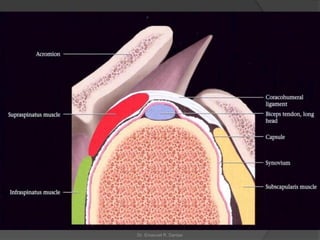 Dr. Emanuel R. Dantas
 