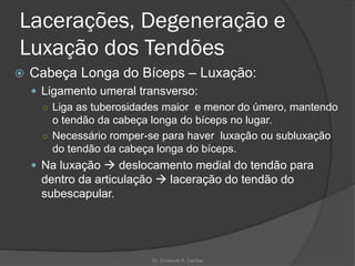 Lacerações, Degeneração e
Luxação dos Tendões
 Cabeça Longa do Bíceps – Luxação:
 Ligamento umeral transverso:
○ Liga as tuberosidades maior e menor do úmero, mantendo
o tendão da cabeça longa do bíceps no lugar.
○ Necessário romper-se para haver luxação ou subluxação
do tendão da cabeça longa do bíceps.
 Na luxação → deslocamento medial do tendão para
dentro da articulação → laceração do tendão do
subescapular.
Dr. Emanuel R. Dantas
 