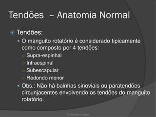 Tendões – Anatomia Normal
 Tendões:
 O manguito rotatório é considerado tipicamente
como composto por 4 tendões:
○ Supra-espinhal
○ Infraespinal
○ Subescapular
○ Redondo menor
 Obs.: Não há bainhas sinoviais ou paratendões
circunjacentes envolvendo os tendões do manguito
rotatório.
Dr. Emanuel R. Dantas
 