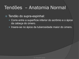 Tendões – Anatomia Normal
 Tendão do supra-espinhal:
 Corre entre a superfície inferior do acrômio e o ápice
da cabeça do úmero.
 Insere-se no ápice da tuberosidade maior do úmero.
Dr. Emanuel R. Dantas
 