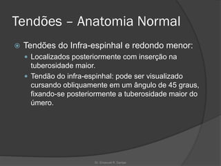 Tendões – Anatomia Normal
 Tendões do Infra-espinhal e redondo menor:
 Localizados posteriormente com inserção na
tuberosidade maior.
 Tendão do infra-espinhal: pode ser visualizado
cursando obliquamente em um ângulo de 45 graus,
fixando-se posteriormente a tuberosidade maior do
úmero.
Dr. Emanuel R. Dantas
 