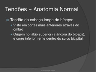 Tendões – Anatomia Normal
 Tendão da cabeça longa do bíceps:
 Visto em cortes mais anteriores através do
ombro
 Origem no lábio superior (a âncora do bíceps),
e corre inferiormente dentro do sulco bicipital.
Dr. Emanuel R. Dantas
 