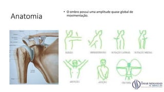 Anatomia
• O ombro possui uma amplitude quase global de
movimentação.
 