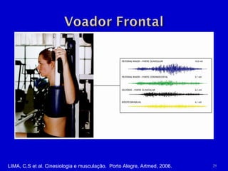LIMA, C.S et al. Cinesiologia e musculação.  Porto Alegre, Artmed, 2006. 