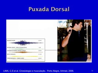 LIMA, C.S et al. Cinesiologia e musculação.  Porto Alegre, Artmed, 2006. 
