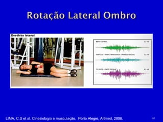 LIMA, C.S et al. Cinesiologia e musculação.  Porto Alegre, Artmed, 2006. 