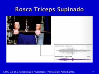 LIMA, C.S et al. Cinesiologia e musculação.  Porto Alegre, Artmed, 2006. 