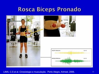 LIMA, C.S et al. Cinesiologia e musculação.  Porto Alegre, Artmed, 2006. 
