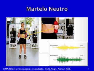 LIMA, C.S et al. Cinesiologia e musculação.  Porto Alegre, Artmed, 2006. 