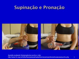 Apostila avaliação fisioterapêutica punho e mão.  http://www.fm.usp.br/fofito/fisio/pessoal/isabel/biomecanicaonline/articulacoes/punho.php 