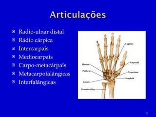 Radio-ulnar distal Rádio cárpica Intercarpais Mediocarpais Carpo-metacárpais Metacarpofalângicas Interfalângicas 