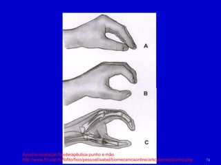 Apostila avaliação fisioterapêutica punho e mão.  http://www.fm.usp.br/fofito/fisio/pessoal/isabel/biomecanicaonline/articulacoes/punho.php 