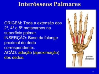 ORIGEM: Toda a extensão dos 2º, 4º e 5º metacarpos na superfície palmar. INSERÇÃO: Base da falange proximal do dedo correspondente:. ACÃO:  adução (aproximação) dos dedos. 