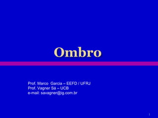 Prof. Marco  Garcia – EEFD / UFRJ Prof. Vagner Sá – UCB e-mail: savagner@ig.com.br 