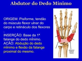 ORIGEM: Pisiforme, tendão do músculo flexor ulnar do carpo e retináculo dos flexores . INSERÇÃO: Base da 1ª falange do ded...