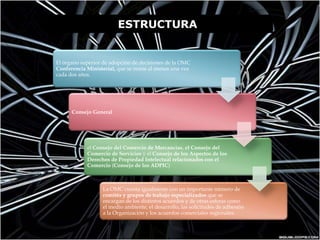 ESTRUCTURA