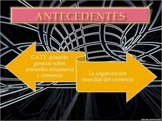 ANTECEDENTES