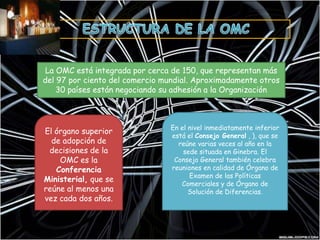 ESTRUCTURA DE LA OMCLa OMC está integrada por cerca de 150, que representan más del 97 por ciento del comercio mundial. Aproximadamente otros 30 países están negociando su adhesión a la OrganizaciónEn el nivel inmediatamente inferior está el Consejo General, ), que se reúne varias veces al año en la sede situada en Ginebra. El Consejo General también celebra reuniones en calidad de Órgano de Examen de las Políticas Comerciales y de Órgano de Solución de Diferencias.El órgano superior de adopción de decisiones de la OMC es la Conferencia Ministerial, que se reúne al menos una vez cada dos años.