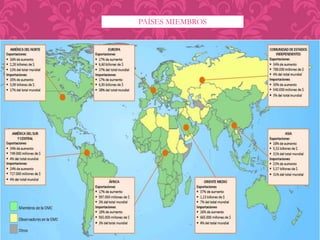 PAÍSES MIEMBROS 
 