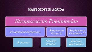 MASTOIDITIS AGUDA
Streptococcus Pneumoniae
Pseudomona Aeruginosa
S. aureus
Especies
proteus
Streptococo
Grupo A
Especies
Bacteroides
Staphylococo
Coagulasa (-)
 