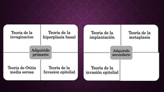 Teoria de la
implantación
Teoría de la
metaplasia
Teoría de la
invasión epitelial
Adquirido
secundario
Teoria de la
invaginacion
Teoria de la
hiperplasia basal
Teoria de Otitis
media serosa
Teoría de la
Invasion epitelial
Adquirido
primario
 