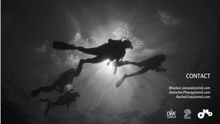 OMD Dive Search
