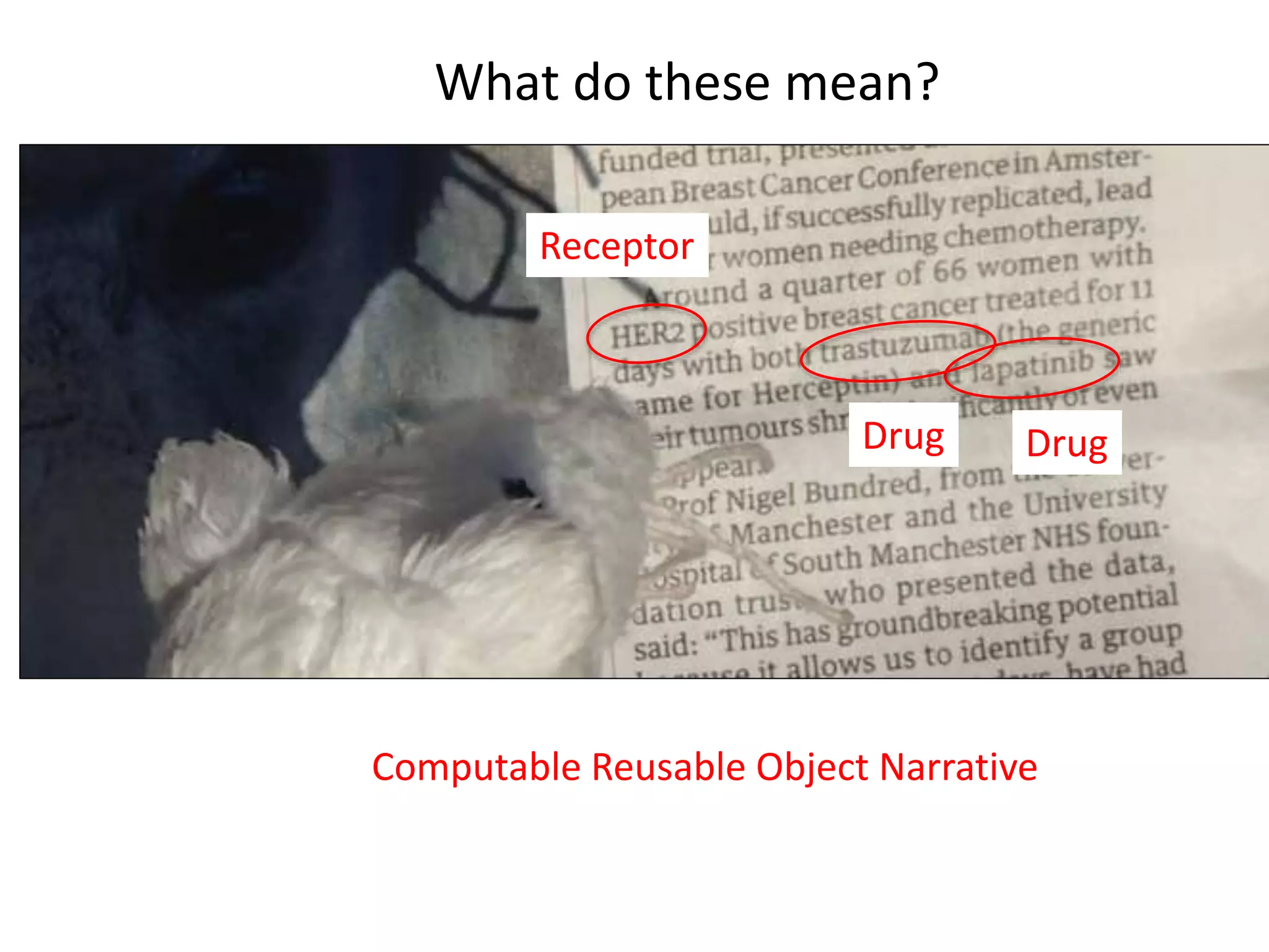What do these mean?
Drug Drug
Receptor
Computable Reusable Object Narrative
 