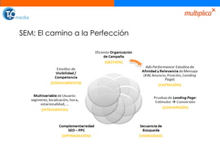 SEM: El camino a la Perfección 