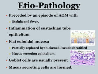 Etio-Pathology
 Preceded by an episode of AOM with
 Otalgia and fever.
 Inflammation of eustachian tube
epithelium
 Flat cuboidal mucosa
 Partially replaced by thickened Pseudo Stratified
 Mucus secreting epithelium.
 Goblet cells are usually present
 Mucus secreting cells are formed.
 