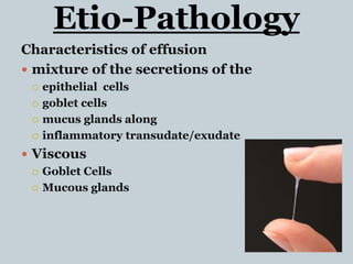 Etio-Pathology
Characteristics of effusion
 mixture of the secretions of the
 epithelial cells
 goblet cells
 mucus glands along
 inflammatory transudate/exudate
 Viscous
 Goblet Cells
 Mucous glands
 