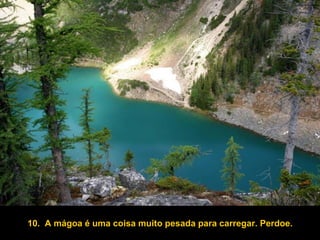 10.  A mágoa é uma coisa muito pesada para carregar. Perdoe. 