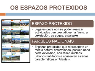OS ESPAZOS PROTEXIDOS

     ESPAZO PROTEXIDO
      • Lugares onde non se poden realizar
        actividades que prexudiquen a fauna, a
        vexetación, as augas, a paisaxe
     PARQUES NACIONAIS
      • Espazos protexidos que representan un
        medio natural determinado, posúen unha
        certa extensión, non teñen núcleos
        urbanos habitados e conservan as súas
        características ambientais.
 